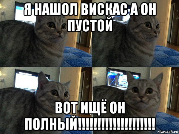 я нашол вискас а он пустой вот ищё он полный!!!!!!!!!!!!!!!!!!!!, Мем  Кот в шоке