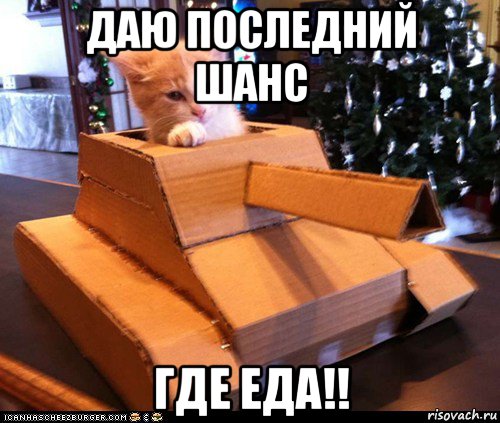 даю последний шанс где еда!!, Мем Котэ танкист