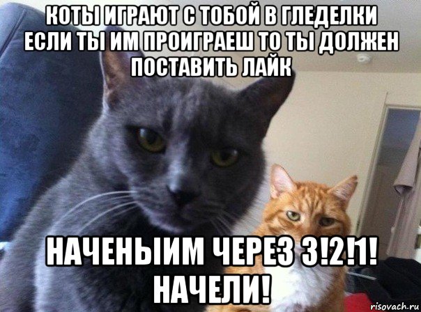 коты играют с тобой в гледелки если ты им проиграеш то ты должен поставить лайк наченыим через 3!2!1! начели!, Мем  Два котэ