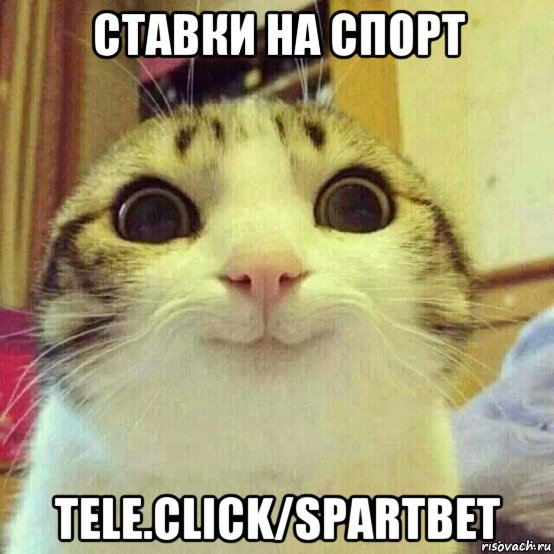 ставки на спорт tele.click/spartbet, Мем       Котяка-улыбака