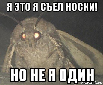 я это я съел носки! но не я один, Мем Матылёк