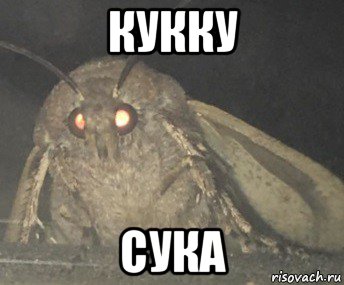 кукку сука, Мем Матылёк