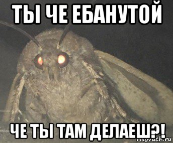 ты че ебанутой че ты там делаеш?!, Мем Матылёк