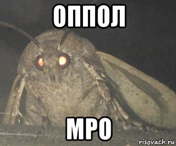 оппол мро, Мем Матылёк