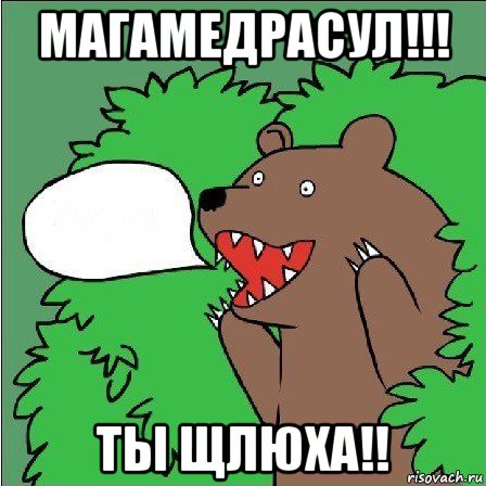 магамедрасул!!! ты щлюха!!, Мем Медведь-шлюха