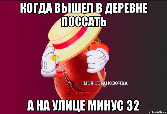 когда вышел в деревне поссать а на улице минус 32, Мем   Моя остановочка