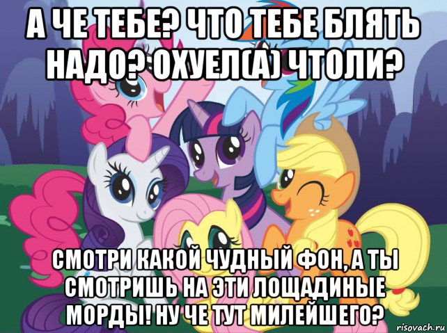 а че тебе? что тебе блять надо? охуел(а) чтоли? смотри какой чудный фон, а ты смотришь на эти лощадиные морды! ну че тут милейшего?, Мем My little pony