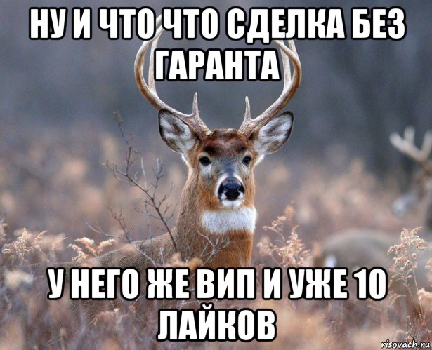 ну и что что сделка без гаранта у него же вип и уже 10 лайков, Мем   Наивный олень