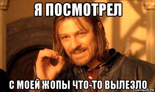 я посмотрел с моей жопы что-то вылезло, Мем Нельзя просто так взять и (Боромир мем)