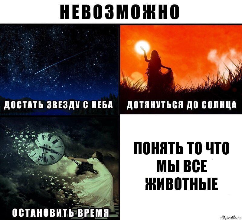 понять то что мы все животные, Комикс Невозможно