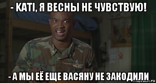 - kati, я весны не чувствую! - а мы её еще васяну не закодили