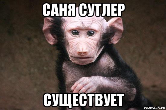 саня сутлер существует