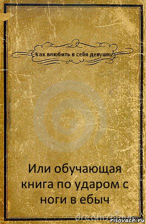 Как влюбить в себя девушку Или обучающая книга по ударом с ноги в ебыч, Комикс обложка книги