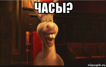 часы? , Мем Осел из Шрека