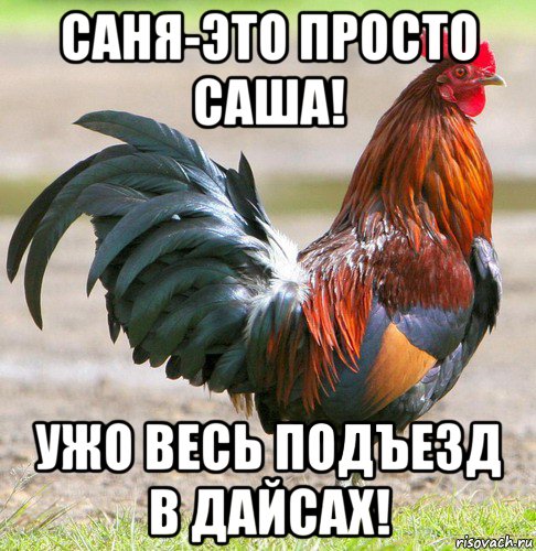 саня-это просто саша! ужо весь подъезд в дайсах!