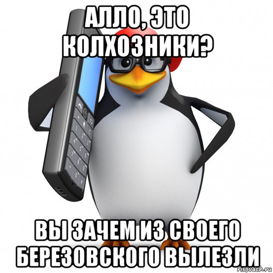 алло, это колхозники? вы зачем из своего березовского вылезли, Мем   Пингвин звонит