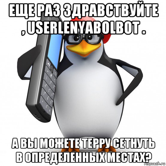 еще раз здравствуйте , userlenyabolbot . а вы можете терру сетнуть в определенных местах?, Мем   Пингвин звонит