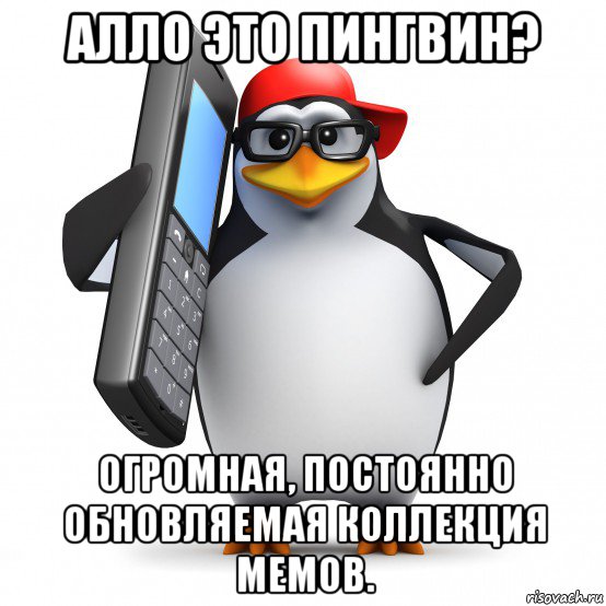 алло это пингвин? огромная, постоянно обновляемая коллекция мемов., Мем   Пингвин звонит