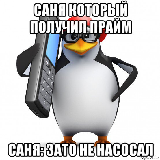 саня который получил прайм саня: зато не насосал, Мем   Пингвин звонит