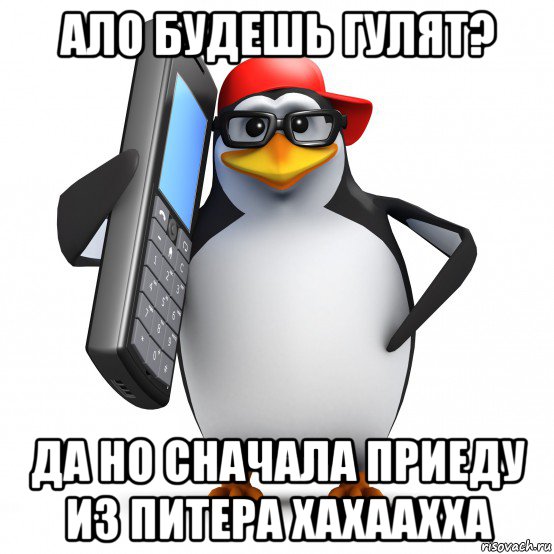 ало будешь гулят? да но сначала приеду из питера хахаахха, Мем   Пингвин звонит