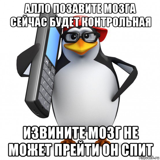 алло позавите мозга сейчас будет контрольная извините мозг не может прейти он спит, Мем   Пингвин звонит