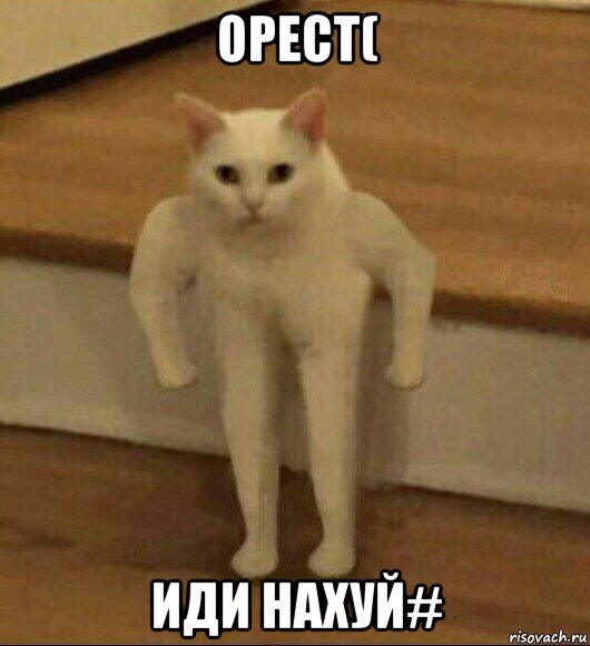 орест( иди нахуй#, Мем  Полукот