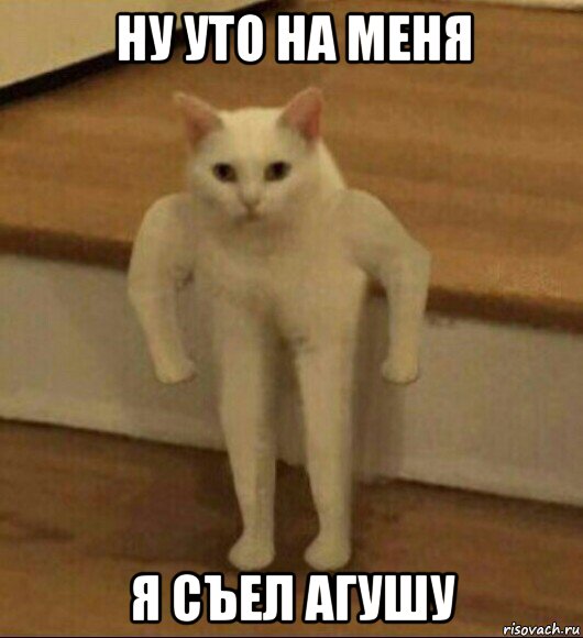 ну уто на меня я съел агушу, Мем  Полукот