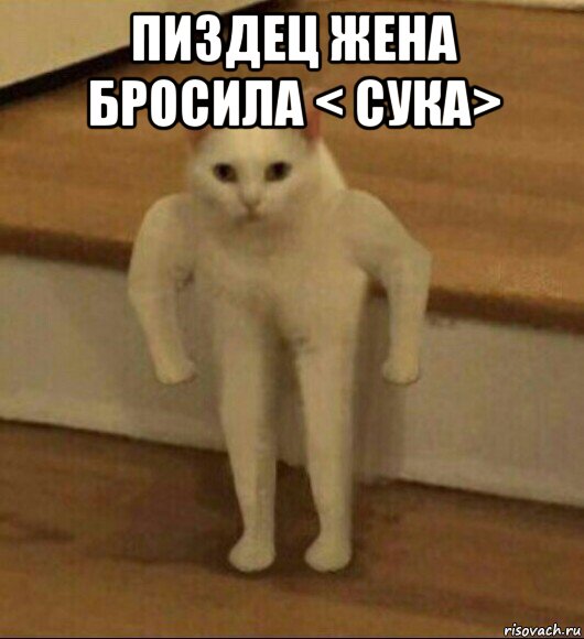 пиздец жена бросила < сука> , Мем  Полукот