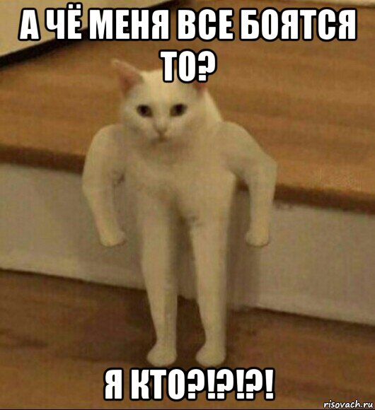 а чё меня все боятся то? я кто?!?!?!, Мем  Полукот