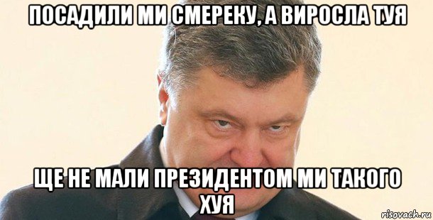 посадили ми смереку, а виросла туя ще не мали президентом ми такого хуя, Мем Порошенко