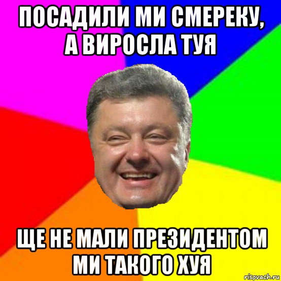 посадили ми смереку, а виросла туя ще не мали президентом ми такого хуя, Мем Порошенко