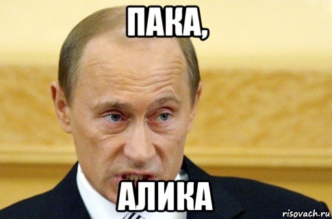 пака, алика, Мем путин