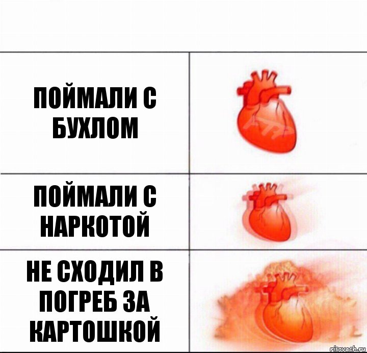 Поймали с бухлом Поймали с наркотой Не сходил в погреб за картошкой, Комикс  Расширяюшее сердце