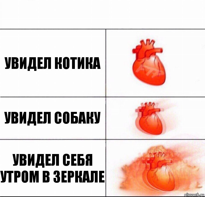 увидел котика увидел собаку увидел себя утром в зеркале, Комикс  Расширяюшее сердце