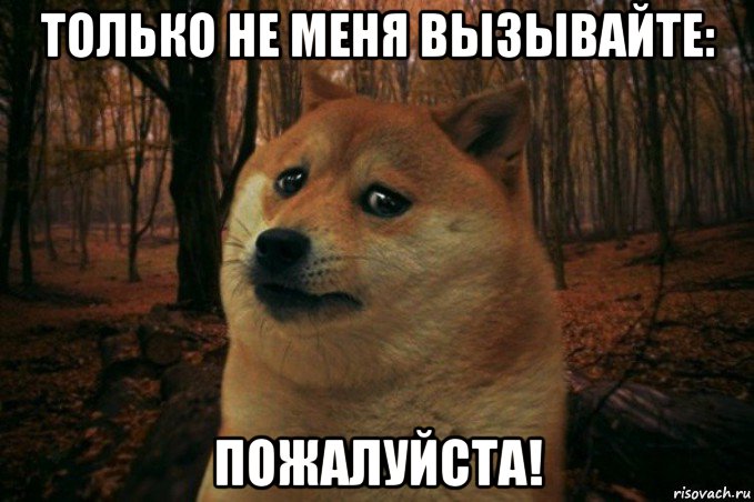 только не меня вызывайте: пожалуйста!, Мем SAD DOGE