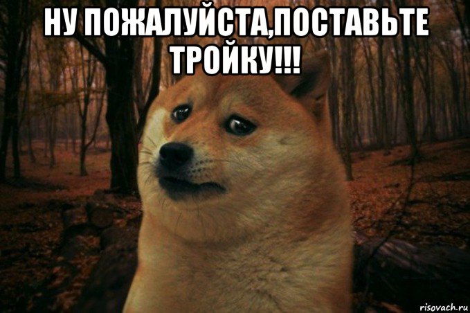 ну пожалуйста,поставьте тройку!!! , Мем SAD DOGE