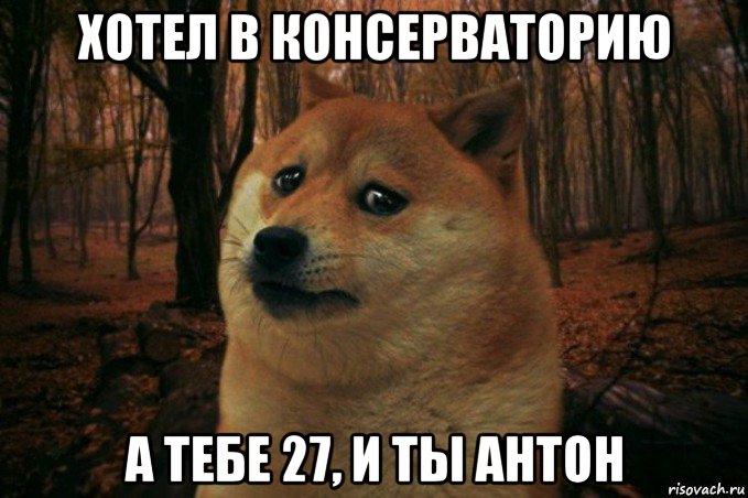 хотел в консерваторию а тебе 27, и ты антон, Мем SAD DOGE