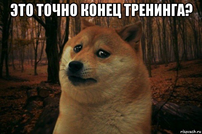 это точно конец тренинга? , Мем SAD DOGE