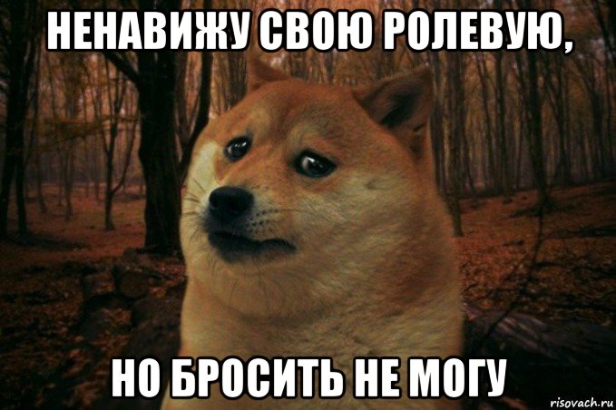 ненавижу свою ролевую, но бросить не могу, Мем SAD DOGE