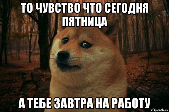 то чувство что сегодня пятница а тебе завтра на работу, Мем SAD DOGE