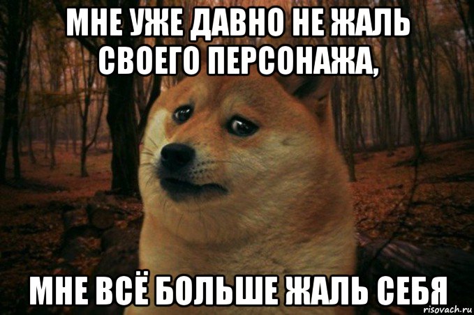 мне уже давно не жаль своего персонажа, мне всё больше жаль себя, Мем SAD DOGE