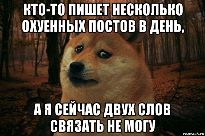 кто-то пишет несколько охуенных постов в день, а я сейчас двух слов связать не могу, Мем SAD DOGE