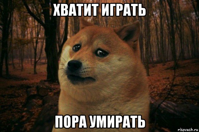 хватит играть пора умирать, Мем SAD DOGE