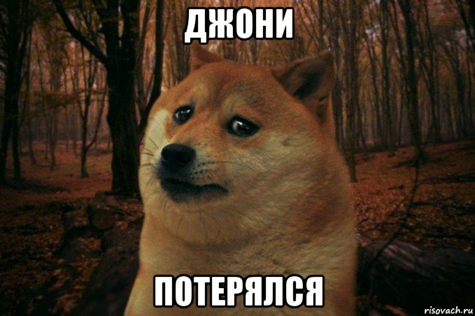 джони потерялся, Мем SAD DOGE