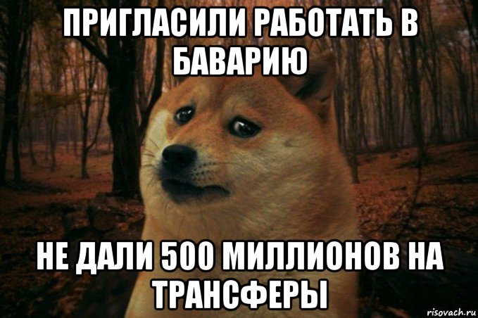 пригласили работать в баварию не дали 500 миллионов на трансферы, Мем SAD DOGE