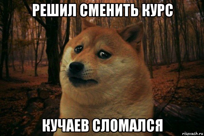 решил сменить курс кучаев сломался, Мем SAD DOGE