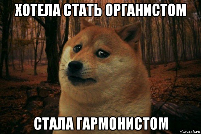 хотела стать органистом стала гармонистом, Мем SAD DOGE