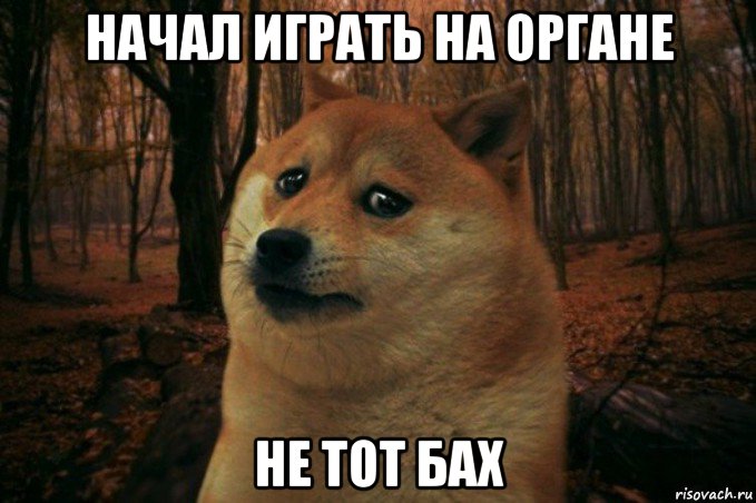 начал играть на органе не тот бах, Мем SAD DOGE