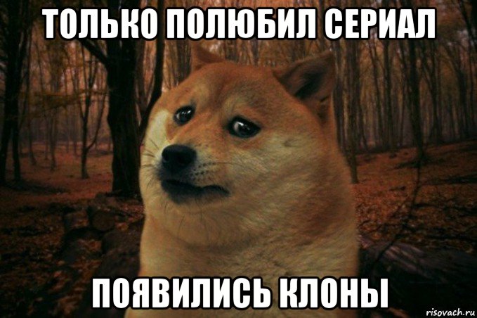 только полюбил сериал появились клоны, Мем SAD DOGE