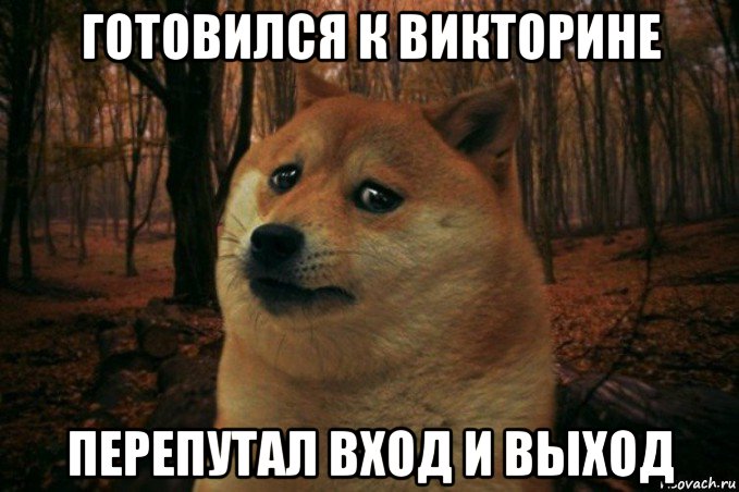 готовился к викторине перепутал вход и выход, Мем SAD DOGE